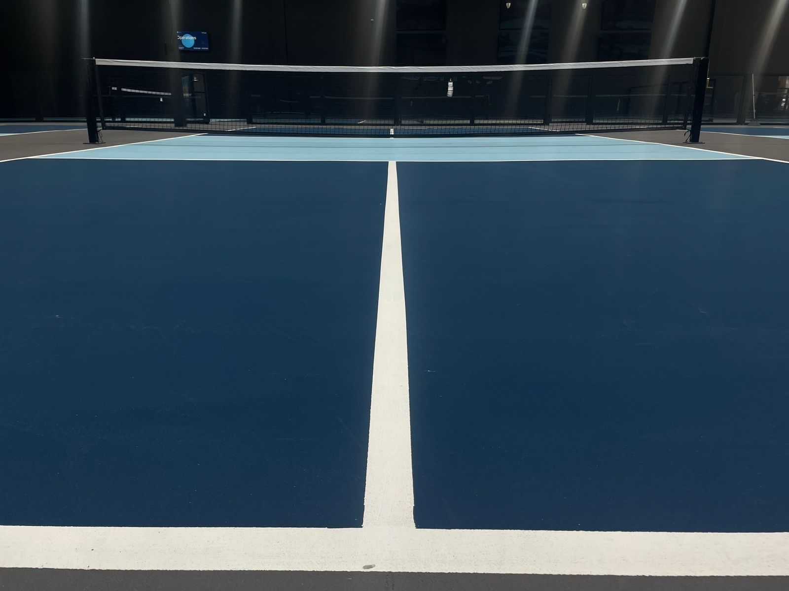 intro pickle ball